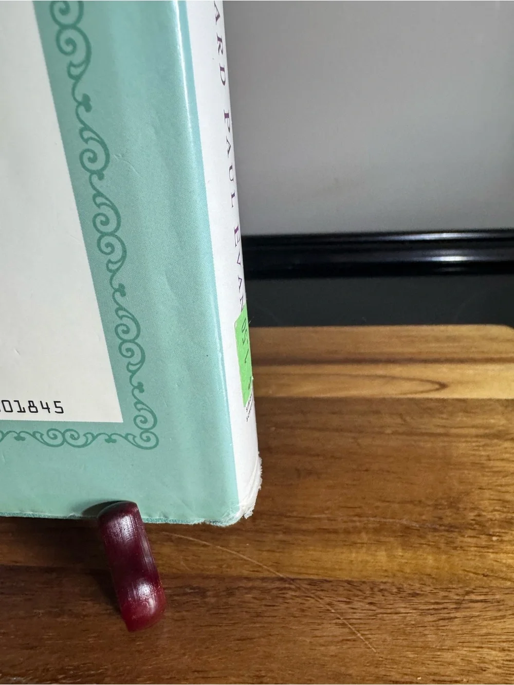 The Carousel by Paul Evans — Large Print Notebook in Mint Green